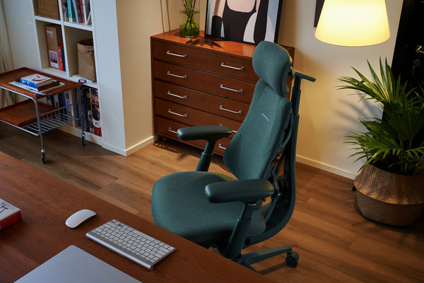 LiberNovo Omni – Best Ergonomic Chair for Back Pain & Long Hours