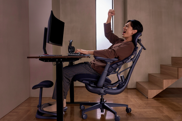 LiberNovo Omni – Best Ergonomic Chair for Back Pain & Long Hours