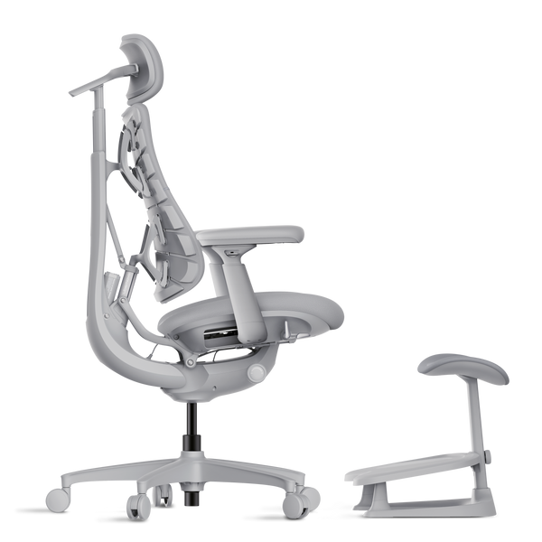 LiberNovo Omni – Best Ergonomic Chair for Back Pain & Long Hours