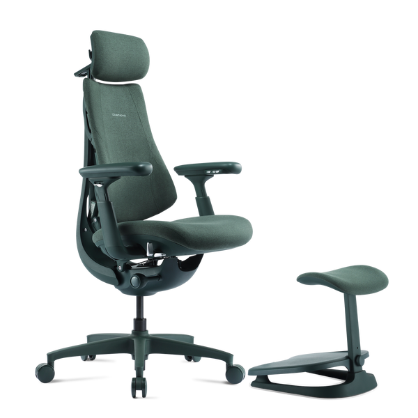 LiberNovo Omni – Best Ergonomic Chair for Back Pain & Long Hours