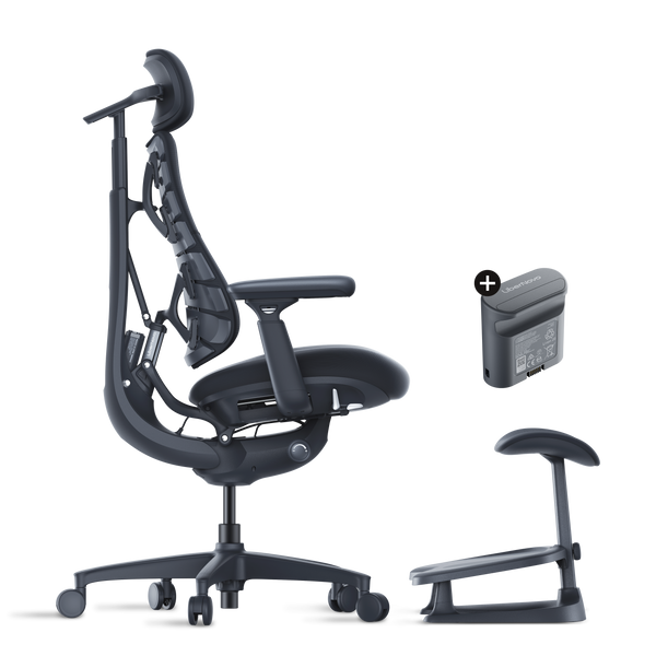 LiberNovo Omni – Best Ergonomic Chair for Back Pain & Long Hours